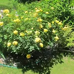 Blonay Holiday Apartments