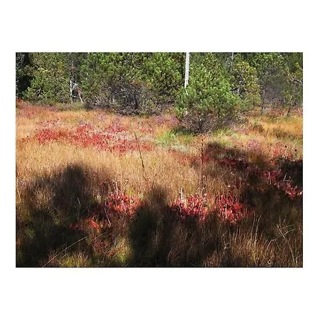 Tatil Evi Blonay Holiday Apartments Blonay