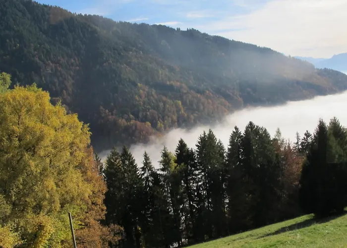 Blonay Holiday Apartments Dom wakacyjny *