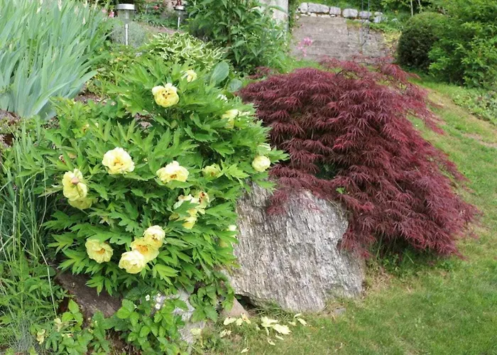 Blonay Holiday Apartments Dom wakacyjny *