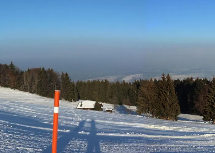 Blonay Holiday Apartments *