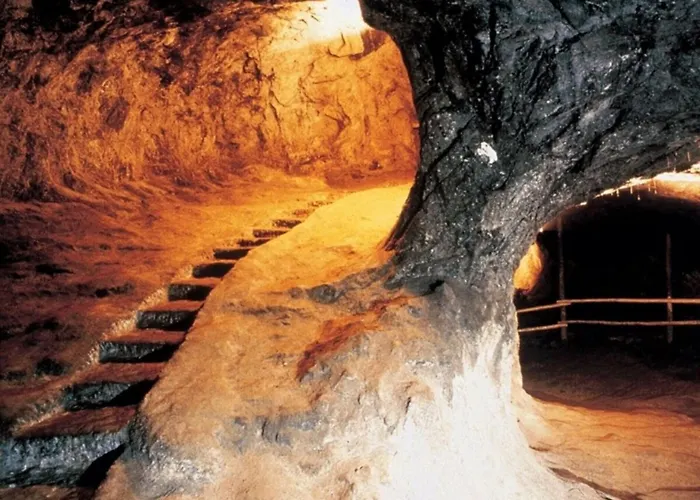 Blonay Holiday Apartments Casa vacanze *