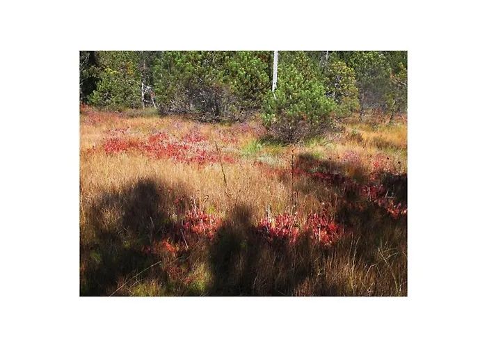 Casa vacanze Blonay Holiday Apartments *